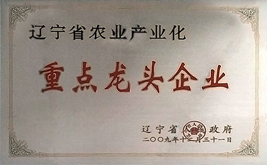 重點(diǎn)龍頭企業(yè).jpg